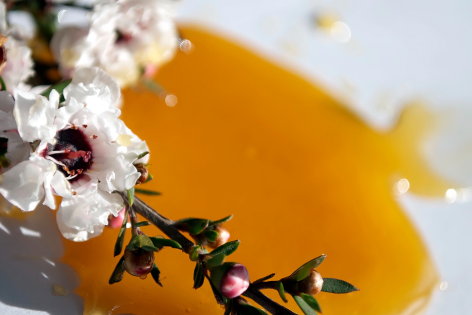 Manuka Honig aus Neuseeland
