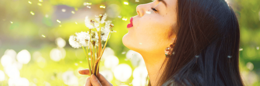 Propolis bei Heuschnupfen